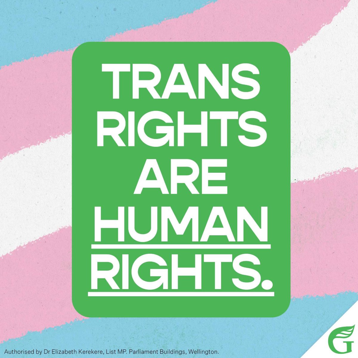 🏳️‍⚧️💚