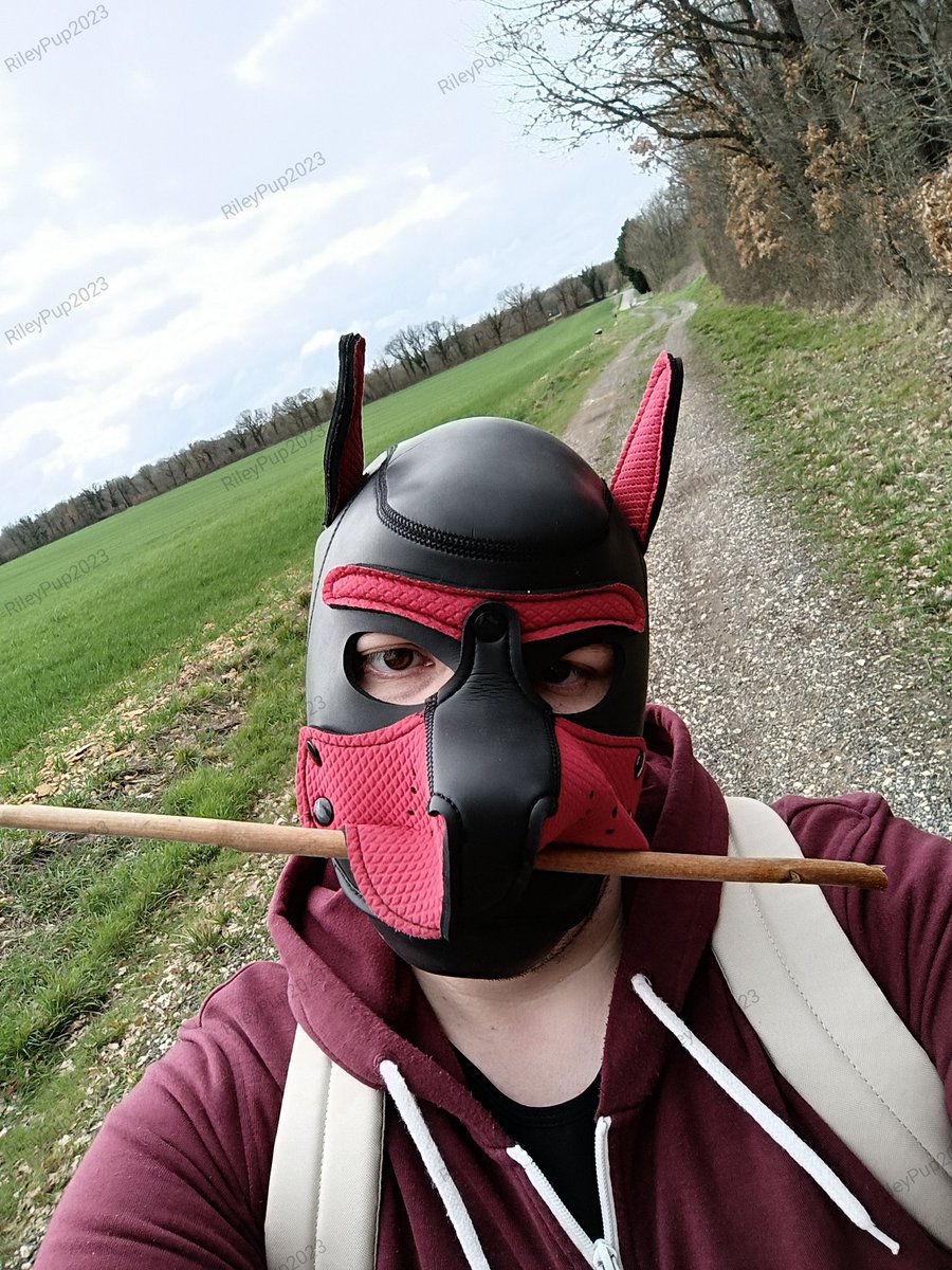 Première sortie pour Riley 🥳
.
.
.
.
.
.
.
#gaypuppy #gaypuppyplay #gaymen #gaytwinks #gayoutside #gayfetish