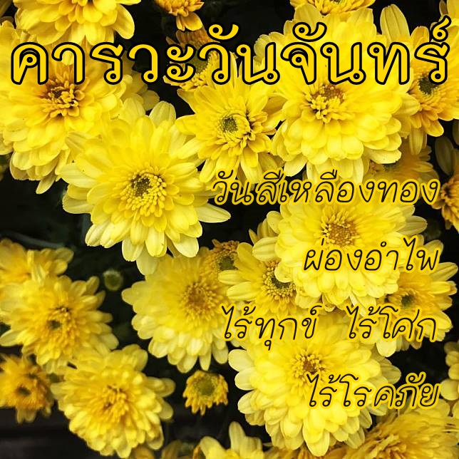 HH2_Furong's tweet photo. ฝูกงกงถวายพระพรอี้เหยินไทเฮาประจำวันจันทร์สีเหลือง ขอจงทรงพระเจริญหมื่นปี หมื่นๆปี @HH2_TaiHao #วันนี้วันจันทร์ทำงานที่เรารักกันครับ https://t.co/t4AVriCrfJ