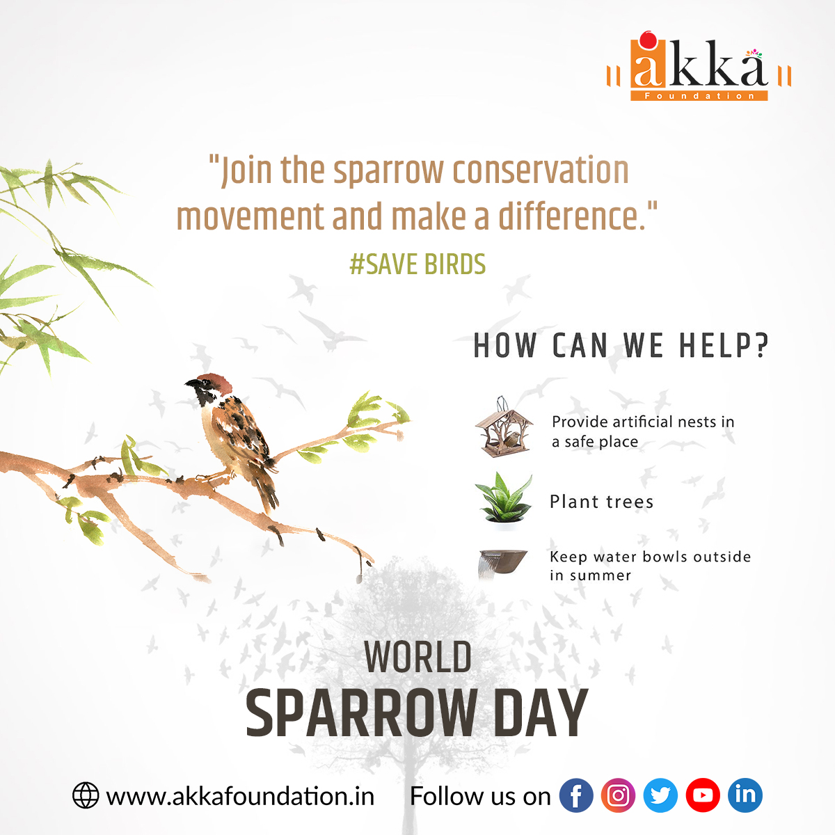 'Sparrows are a symbol of hope and resilience. On World Sparrow Day, let's inspire ourselves to be like these little birds and face life's challenges with courage.'

#sparrow #SparrowDay #worldsparrowday #bird #akkafoundation #projectanandi #drushtabhiyan #latur