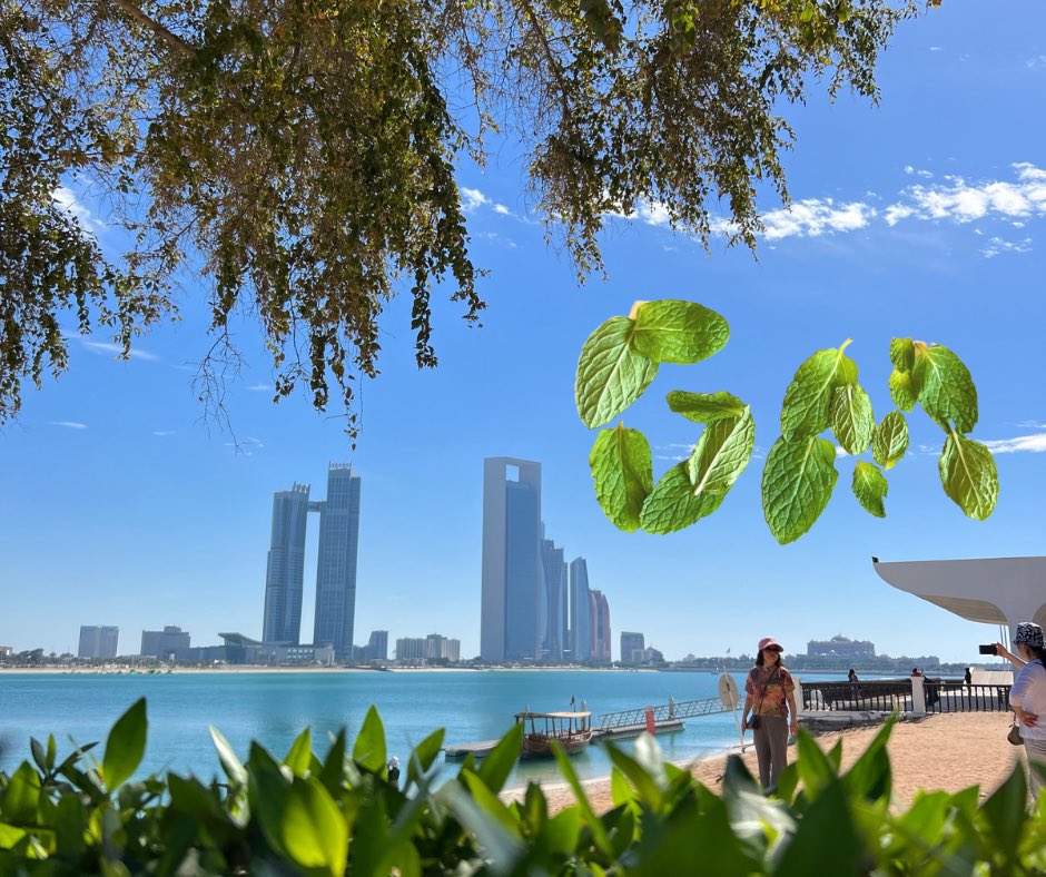 warrenhimself 🎟💚 tweet media