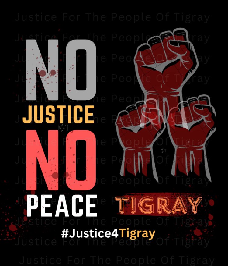 aregayshewit13's tweet photo. Over 600k killed &amp; Over 130k Raped, Victims of the #TigrayGenocide .
 We demand unfettered access &amp; a complete investigation of all massacres + the removal of #Eritrea’n  forces from all parts of Tigray. #Justice4Tigray @POTUS @StateDept @EUCouncil  @UN_HRC @IntlCrimCourt @UN @VP https://t.co/mAXe92ErQs