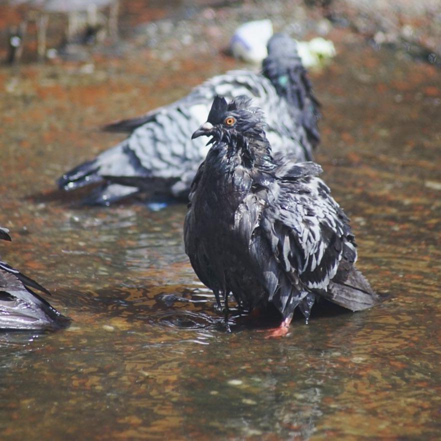📍Pioneer Square, Seattle.