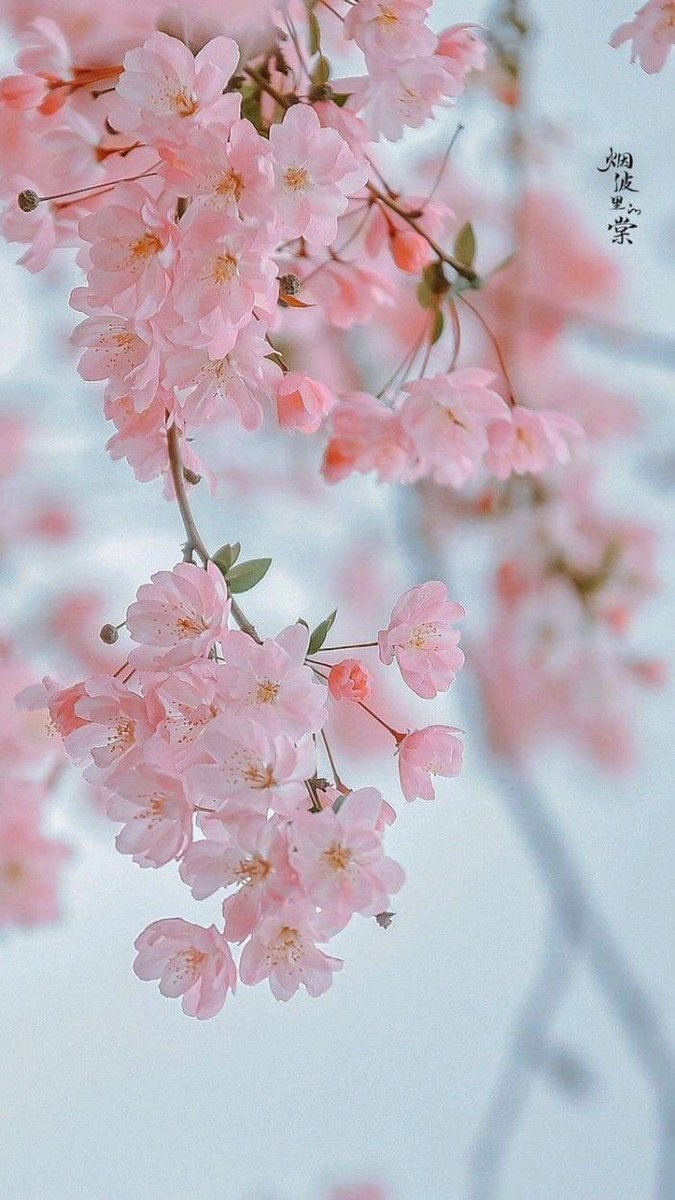 ameblo.jp/kaoruko5000/en…

3月21日　心の扉を閉めるとき

自分は生きるのに、あたいする人間です。
自分は、自分のままでいいのです。
自分は愛するに、あたいする人間です。
自分は、自分の居所をつくっていいのです。
自分を、うんと好きになります。

＃メンタルヘルス