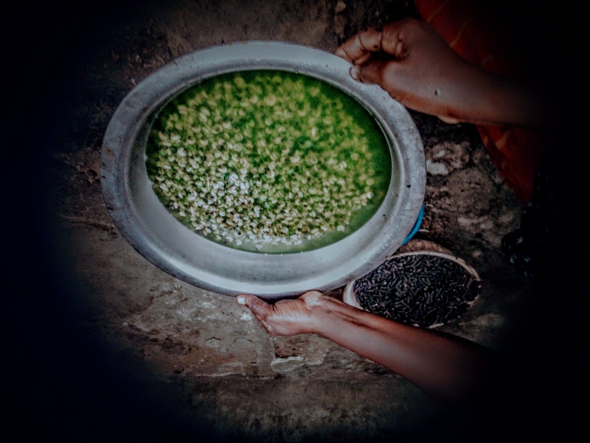 🤴🏽🤴🏽Conshinho of Port Harcourt tweet media