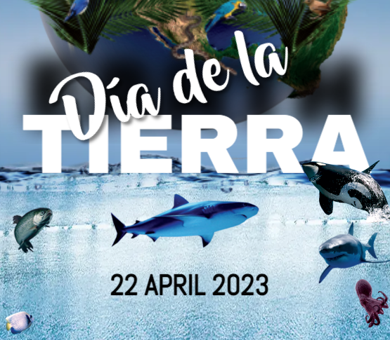 pixafree's tweet photo. Compra tu Cartel del día de la tierra (Flyer Día de la tierra) Earth Day free al mejor precio. https://t.co/GijLquBOgS

Ofertas de lanzamiento en #logos #flyers #tarjetas &amp; más.

22 de Abril, Cartel, Día de la Tierra, Earth Day, Flyer gratis, Free, Gratis, Pixafree https://t.co/Wgn6U1svp1