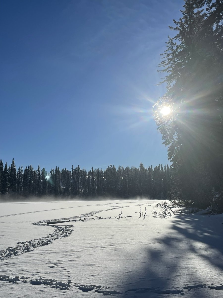 If you could be in a place that made you feel safe, relaxed, peaceful and content what does that place look like? What is around you? Who are you with, if anybody? What is available to you? Are you able to envision it? I’m curious to hear your thoughts and ideas. #life #health