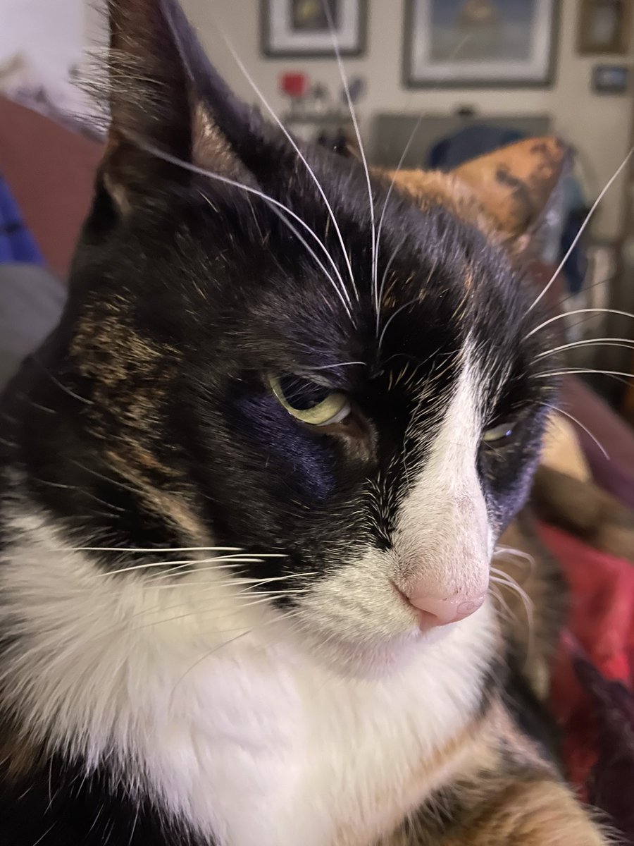 Kim Steadman tweet media