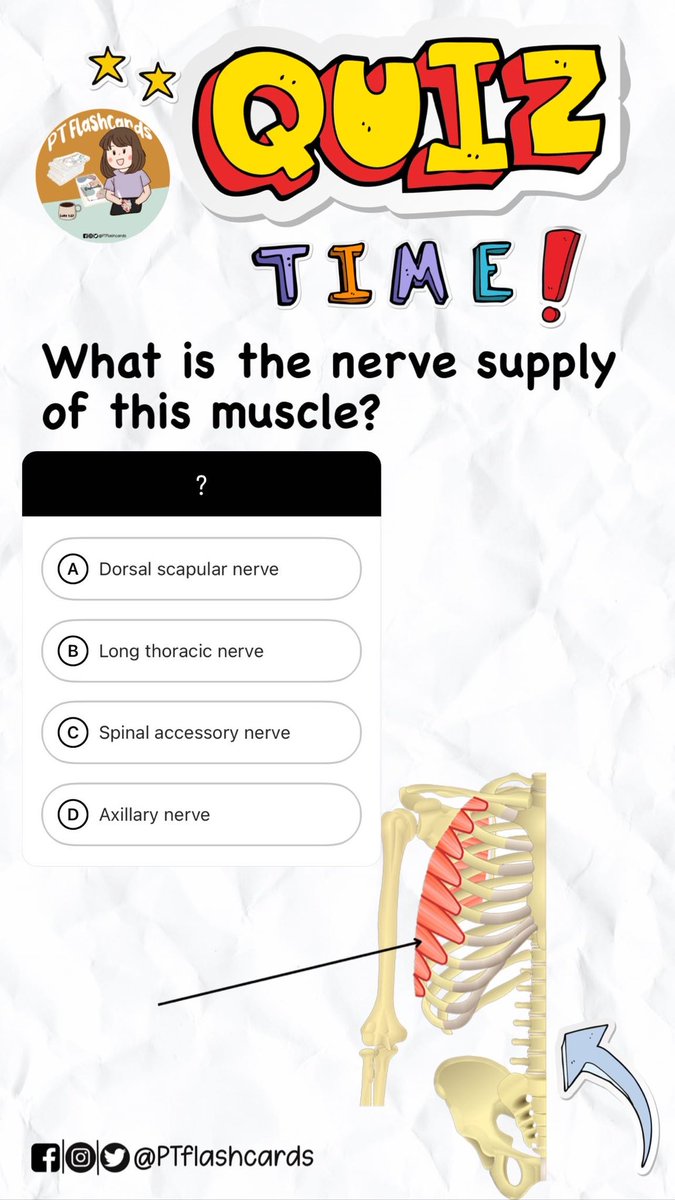 PT flashcards on Twitter "Go check out our IG stories for more 💗 quiz