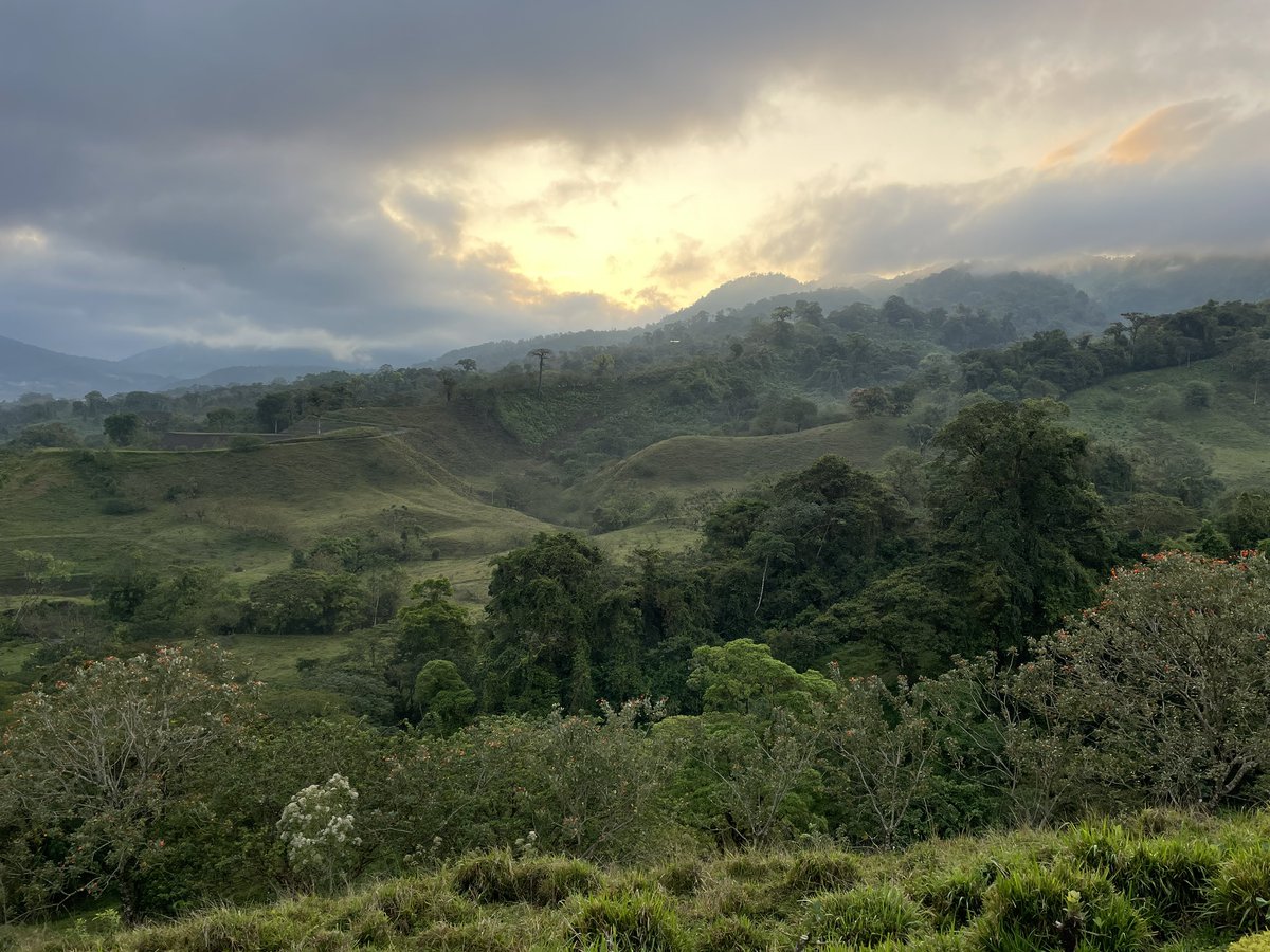 Day 8 we ziplined through the canopy, had a fruit tasting learning about new Costa Rican fruits, and had beautiful views from our hotel. An evening spent in the hot spring heated by the volcano was a perfect way to end the night. #SaintsAbroad