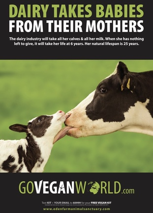 veganfuture's tweet photo. https://t.co/gddtvmMtSn