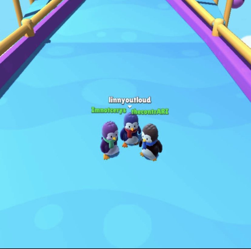 dylansplane's tweet photo. noot noot cult gathering - whatever could they be discussing! 👀🐧 https://t.co/A1yiSZQJjP