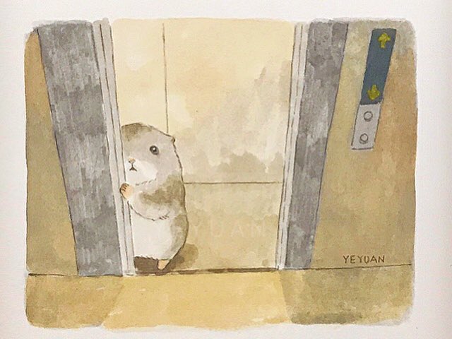也圆Yeyuan tweet media