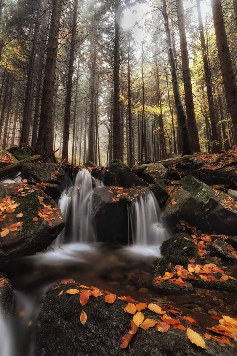 ไม่มี..ใคร !
ไม่เคย “ผิดพลาด”

จง..ใช้ ความ “ฉลาดเฉลียว”
ให้..เกิด “ประโยชน์”

จง “อาศัย” 
ความ “ผิดพลาด” มาเป็น “บทเรียน”

จง “อาศัย”
คำ “ติเตียน” มา “พัฒนา” ใน สิ่งที่..ได้ “ผิดพลั้ง”

จง “อาศัย”
ความ “หวัง” มา “สร้างแรงจูงใจ”

จง “อาศัย”
กำลังใจ “แก้ไข” มัน ! ให้ “ถูกต้อง”