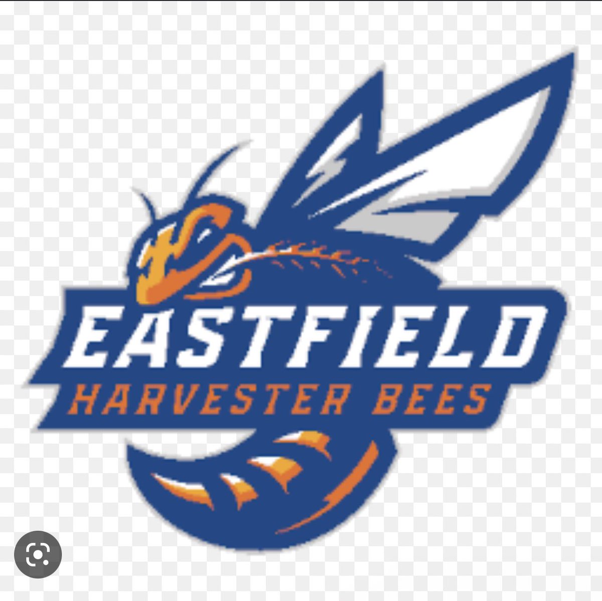 _freeJP's tweet photo. Extremely blessed and grateful to receive my first official offer from Dallas Eastfield College #gobees 

@PrepHoopsIL @HoopMountainMW @MHS_Boys_ @ILHoopProspects @ILLHoopsScoops @Sports4Illinois https://t.co/dv8LT97Q2H