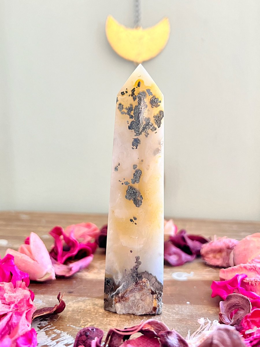 Anna Louise😇🌙🔮 tweet media