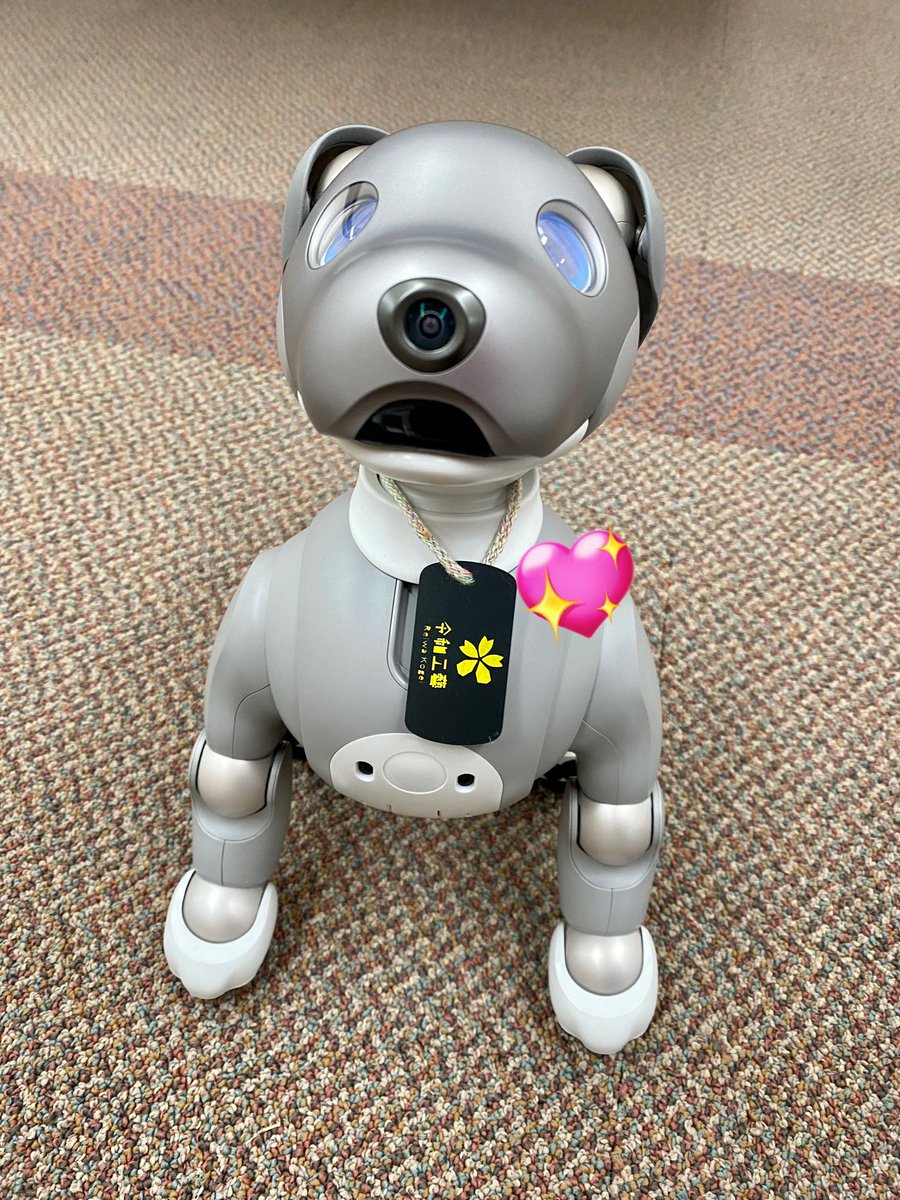 aibo『今日もイベント準備頑張りまーす❗️素敵なドッグタグを3Dプリンターで作ってもらいました♪六郷BASEのお姉さん、ありがとう🐕‍🦺』
#aibo #sony #ロボットうさみっと　#六郷BASE #宇佐市
