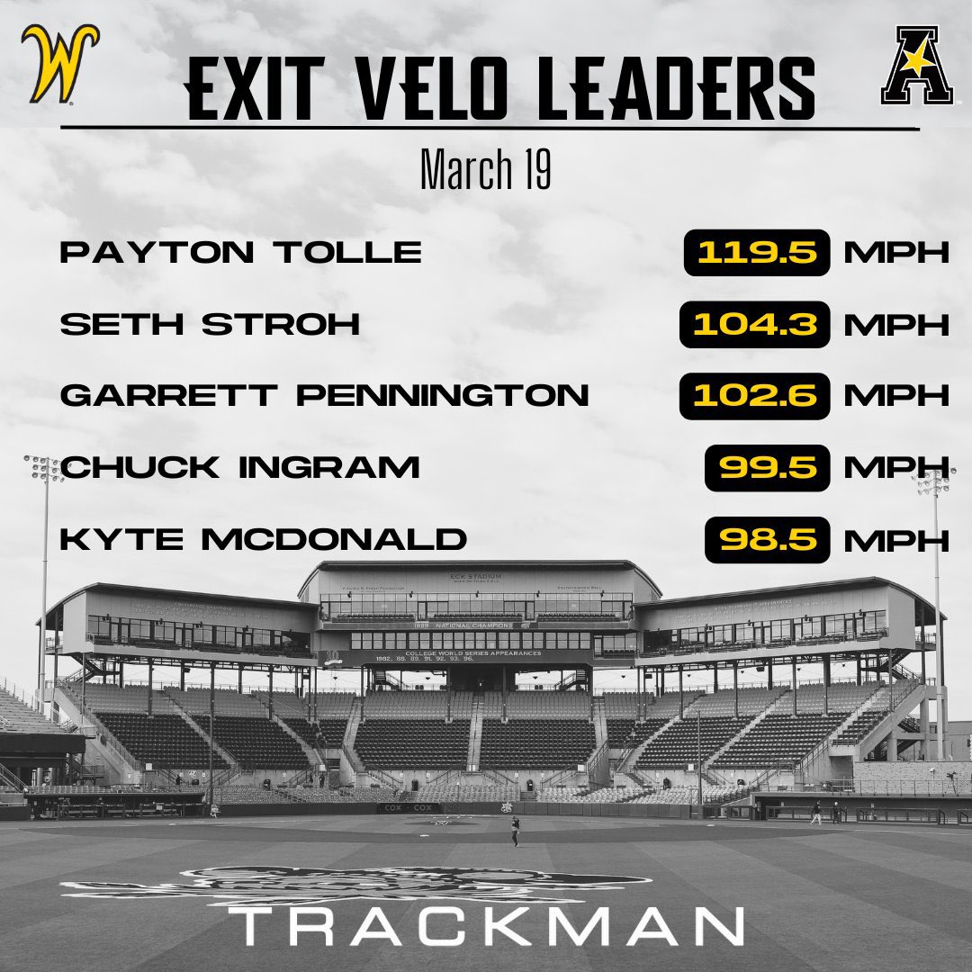 Stephen Schoch tweet media