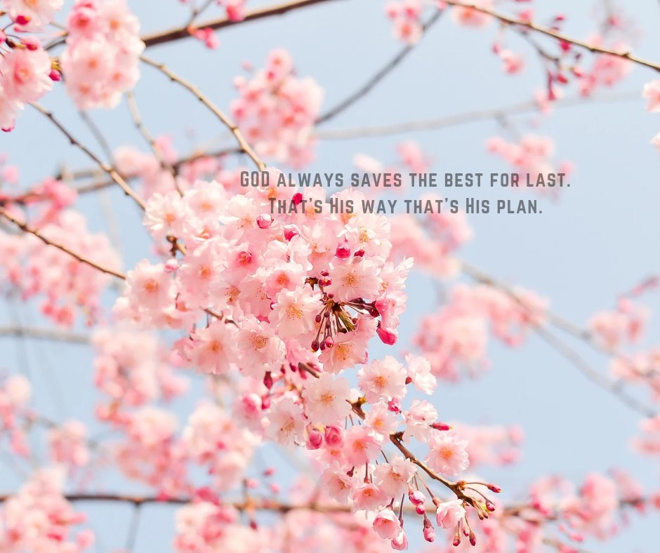 LoudelaCruz's tweet image. The Best is Yet to Come 🙏🤍

#ThankYouJesus 
#ilLOUminate ✨#EPIC2023 🌟