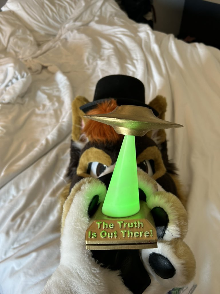 cinnamontail's tweet photo. Still in disbelief from this afternoon. #TFF23 has been an absolute blast, and I couldn’t have asked for a better way to start the last day.

Winning 1st place in Veteran at my home con—the con I first started dancing—is more than I could ever hope for. I am so grateful ❤️ https://t.co/pTK7V029lg