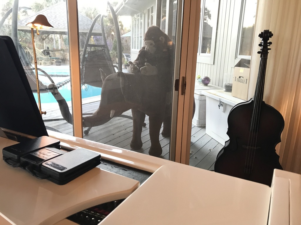 cheekane's tweet photo. My supervisor and mentor at a concert
.
.
.
.
.
 #CHperforms #viewfrommyoffice #travelingmusicians #pianistofinstagram #pianoplayer #difficultmusic #instagrammusicians #TalentedArtists #Chambermusic #musician #concert #instapianist #pianistlife #musician… https://t.co/KMYnyZzjk2 https://t.co/B8CzFLec3P