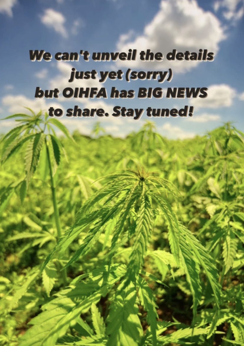 OIHFA's tweet photo. We can’t wait to share with you what OIHFA has been up to! Stay tuned for a special announcement 💚

#hemp #hempfarmers #cbd #cbdwellness #hempcommunity #cbdbenefits #natural #hempfood #hempbeauty #hempfibers #hempclothing #hempcrete #hempfarmers #cbdflowers #hempheals https://t.co/kbaxZxNeDf