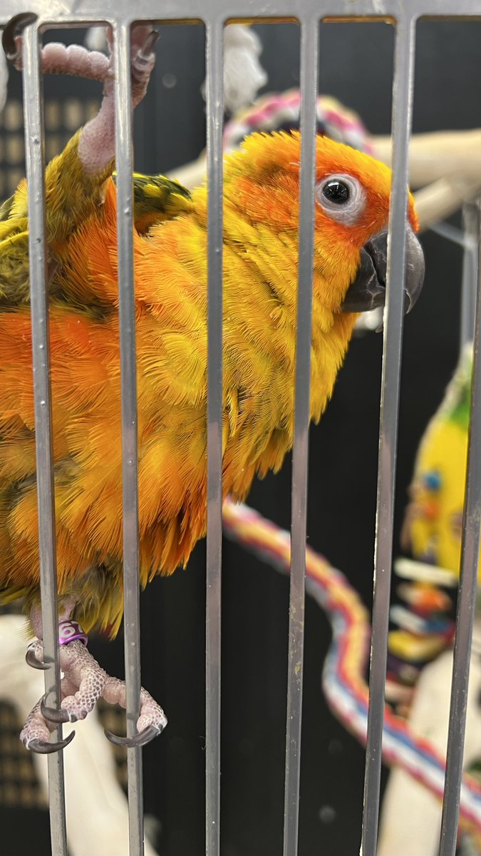 Zack Arias tweet media