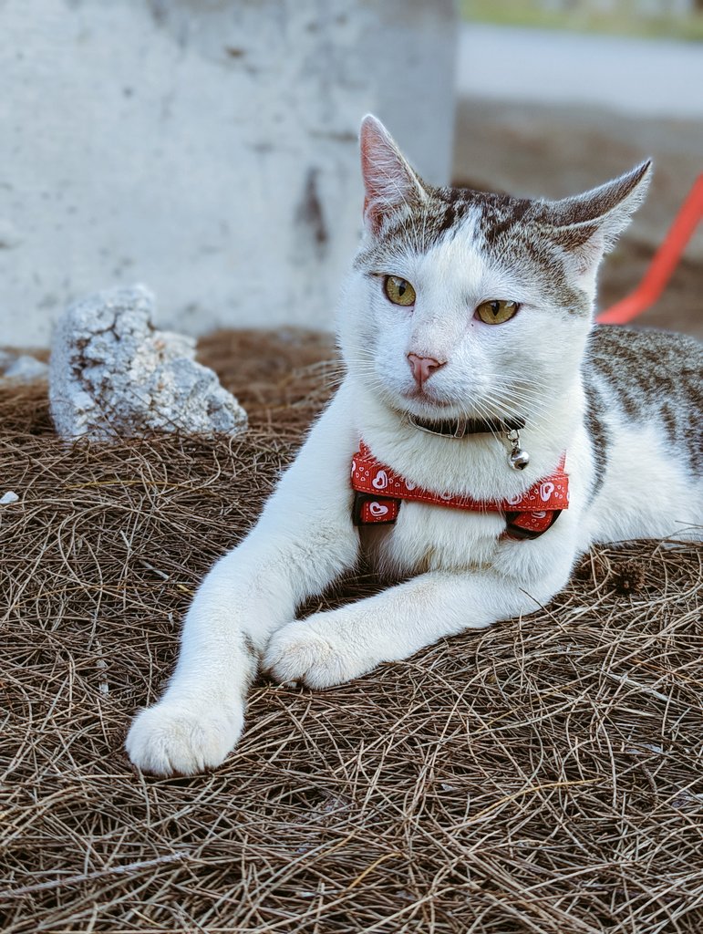 Kennikay1's tweet photo. @lijitimate Here's my son Winter!!! ❣️ https://t.co/LPwaSHRpus