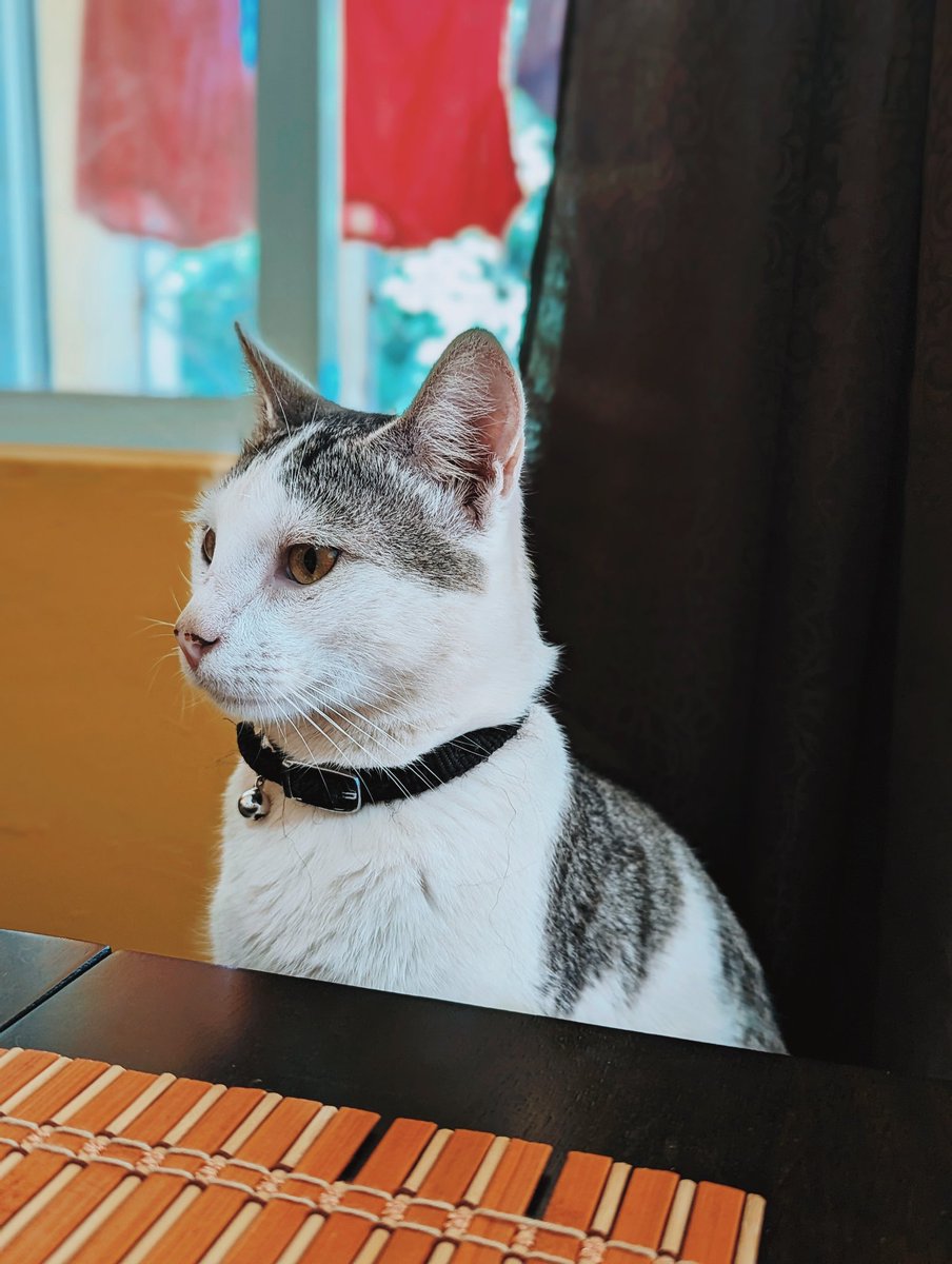 Kennikay1's tweet photo. @lijitimate Here's my son Winter!!! ❣️ https://t.co/LPwaSHRpus