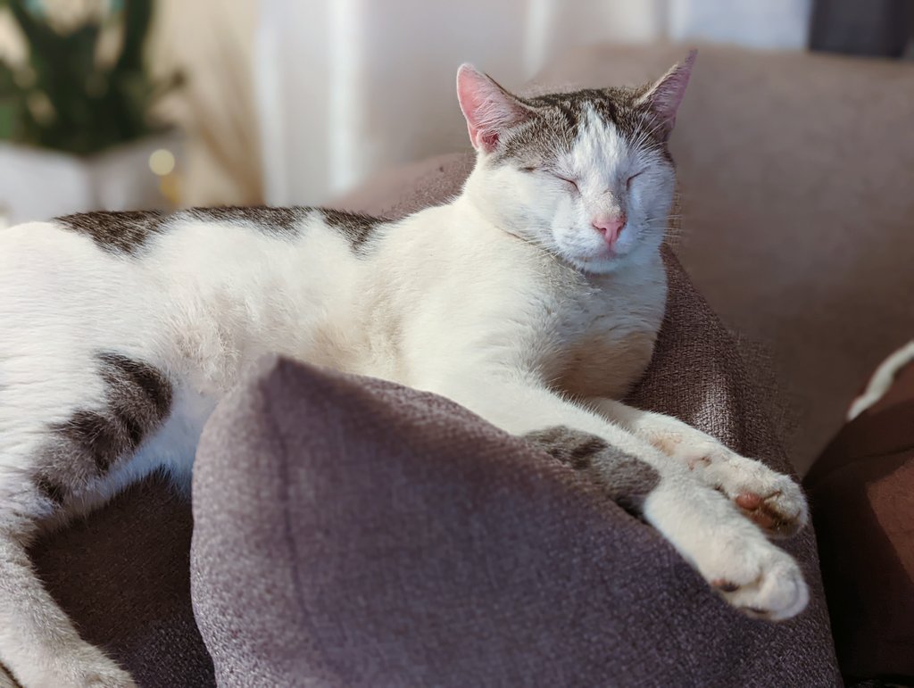 Kennikay1's tweet photo. @lijitimate Here's my son Winter!!! ❣️ https://t.co/LPwaSHRpus