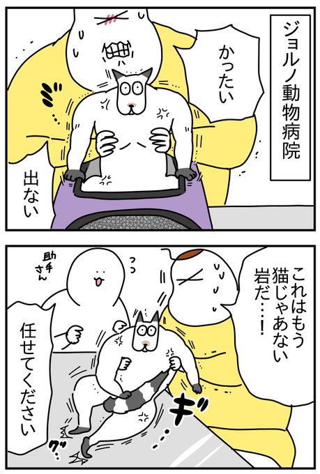 動物病院 
