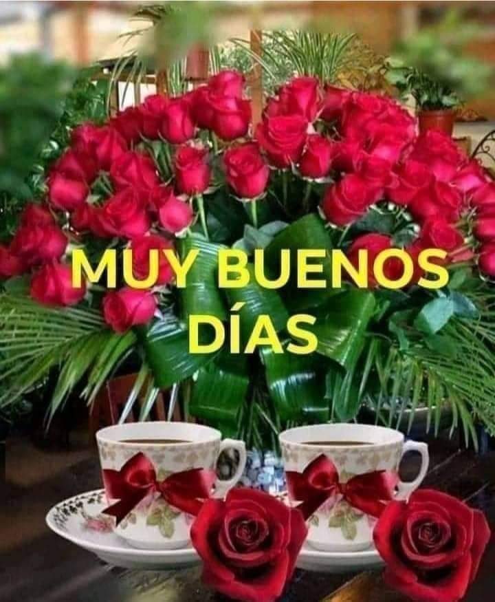 mlmairro's tweet photo. ⁦@ferrarisergio4⁩ buongiorno dolce risveglio iniziamo la settimana con un po’ di pace e serenità 🍀🍀🍀🍀🍀🍀🍀🍀🍀🍀🍀🍀buona fortuna a tutti 💕 https://t.co/zVgLLrM5kf