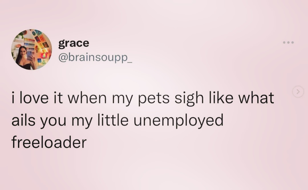 raidocoaching's tweet image. 😅

#latergram 📆 from Feb. '23.
📲 shared by #themindfullife @elephantjournal