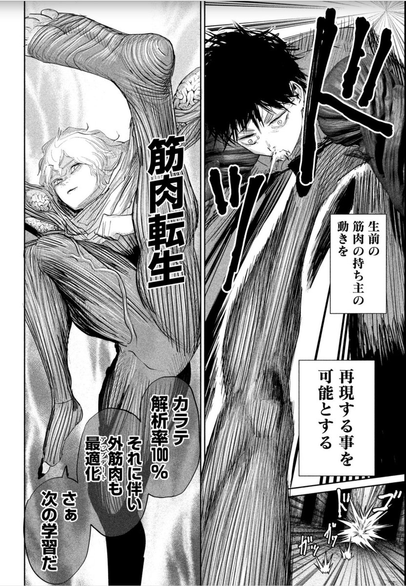 リリーメン24話今週のヤンマガに載ってます!
マッスルメモリーは本当にあるらしいです(転生はしないです)
技名はこの時期転生もののアニメをみていたからでしょうか・・

単行本2巻発売中です!
https://t.co/iAnflH9Zn7 