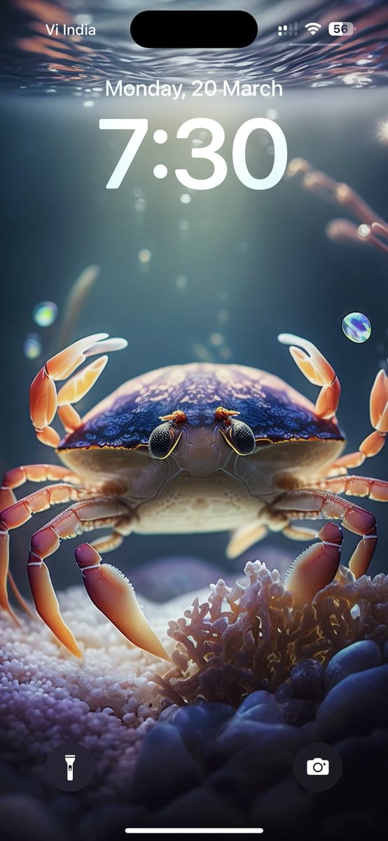 malytopol's tweet photo. Such an adorable crab! 😍😍 #LockScreen https://t.co/DDNSrWAZy6