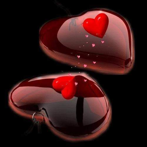 SargarShaheen's tweet photo. له یوه نوی سهارسره راغلم هیله لرم چه جوړبه یاست https://t.co/xNjywsu5Vv
