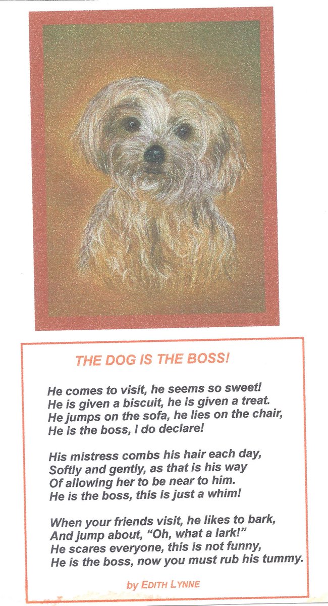 mayemusk's tweet photo. @elonmusk Your yorky had a puppy with your dachshund, and you gave me the joy of my life for 15 years. It was tragic when he passed away, but my late sister said that we live longer than our dogs, and we need to accept that. She drew him and wrote a poem about him. Happy and sad memories…..