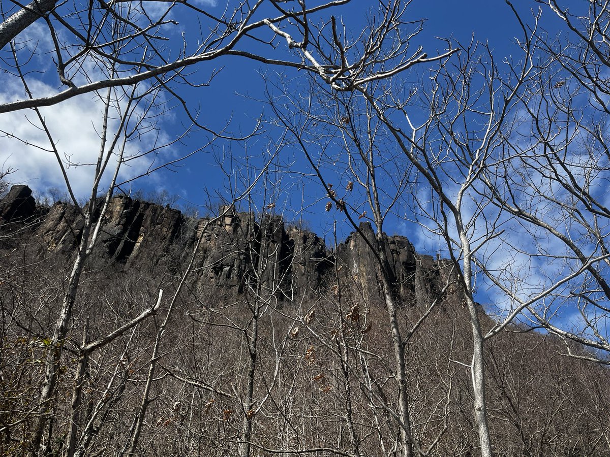 Siouxcq523's tweet photo. Amazing walk in Alpine and State Lookout #nj #njparks #statelookout #alpinenj #raptor #falcon #vulture https://t.co/7Esan1WdA9