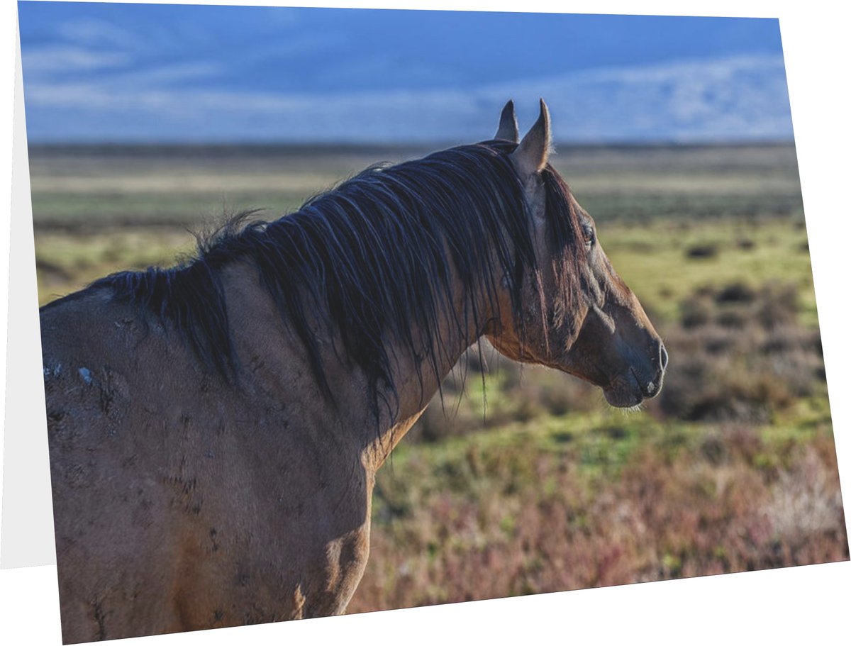 FonDenton_Art's tweet photo. #SendCardsNotTexts! Special people deserve art and a personal touch. #Framable too!
Find It: https://t.co/HNvTnCwAeP
#WildHorse #Horse #Horses #Mustangs #SpringIntoArt #Cards #SendCards #Write #GiftIdeas #PersonalTouch #BuyIntoArt #TheArtDistrict #HorseLover #PhotographyIsArt https://t.co/mKmEkoEQ1j