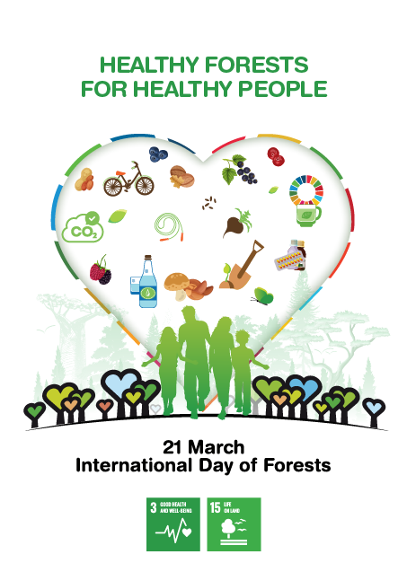 21 March 2023 International Day of Forests. Healthy Forests for Healthy People. 
🌳The use of forest products, contributes to carbon neutrality. 
🌳Forest products are used by us daily. 
🌳Sustainably managed forests provide communities with positive environmental outcomes.