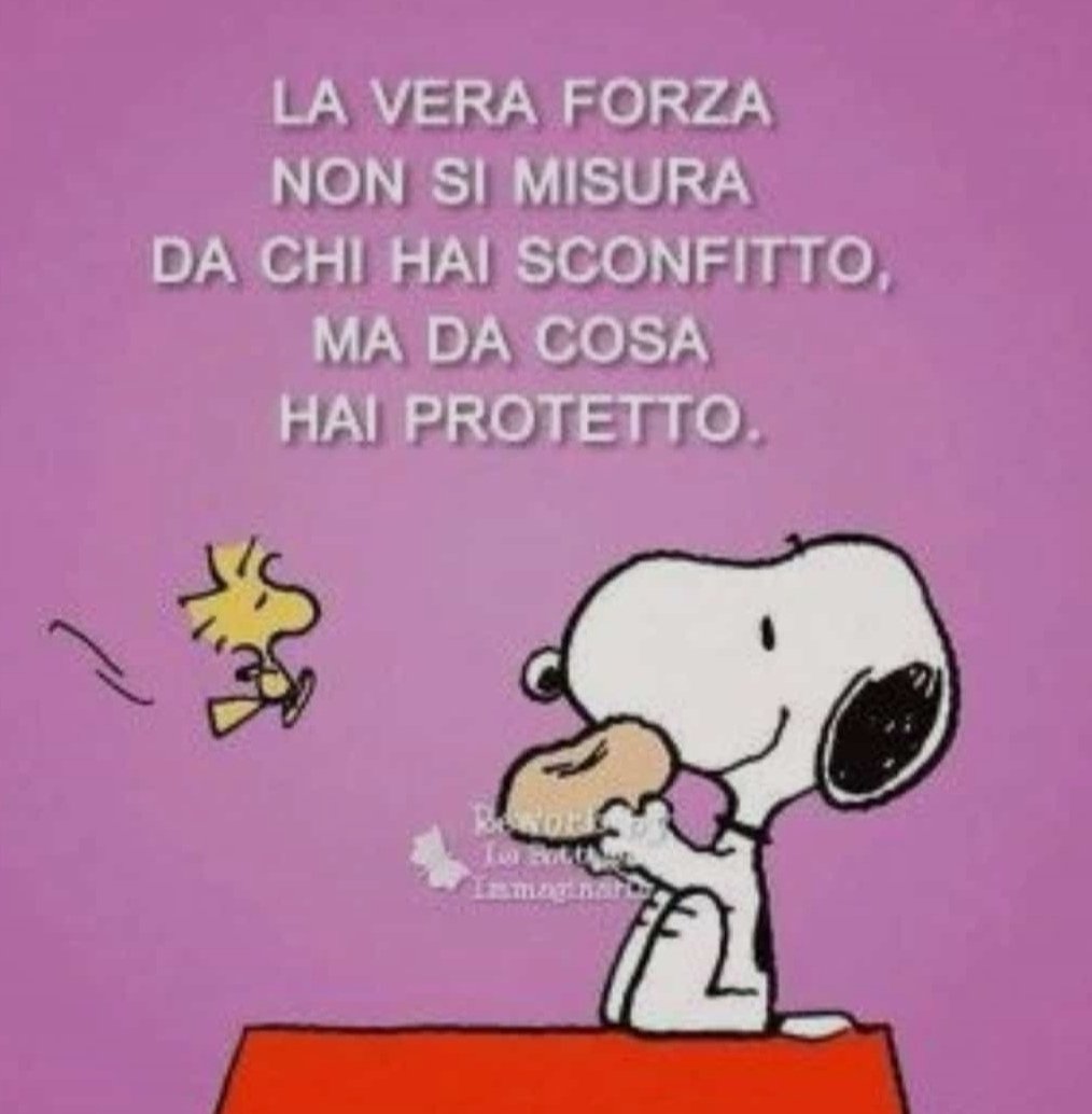 fedeviola83's tweet photo. https://t.co/FijhEIS2mG
