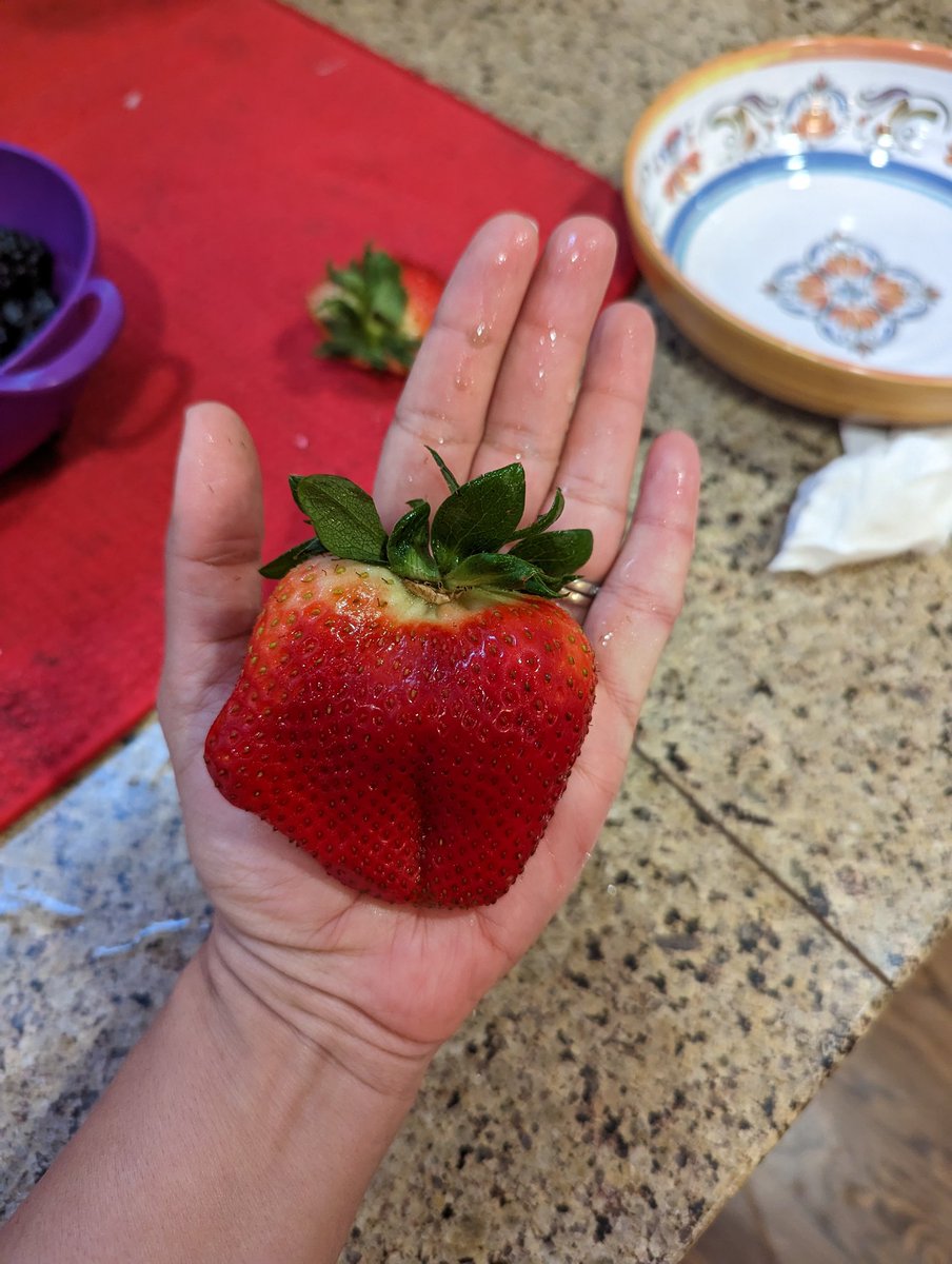 Well, this is concerning.
No wonder our children are hormonal at a younger age.
With strawberries that are the size of my palm, one must question the "organic" label that was placed on the container. How is this possible?