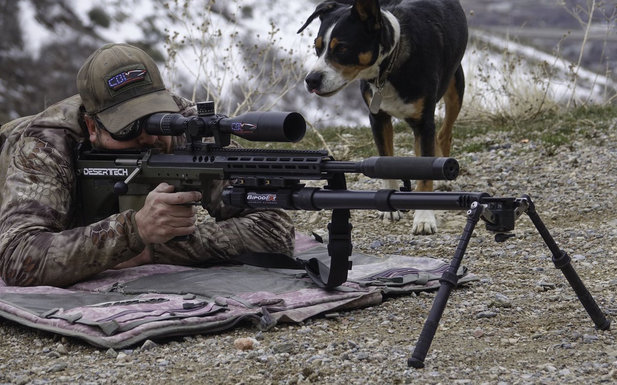 coldboremiracle tweet media