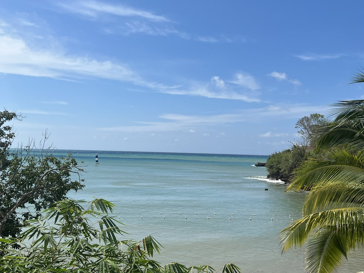 🤙🏾 Minding My Own Business🖤💛 tweet media