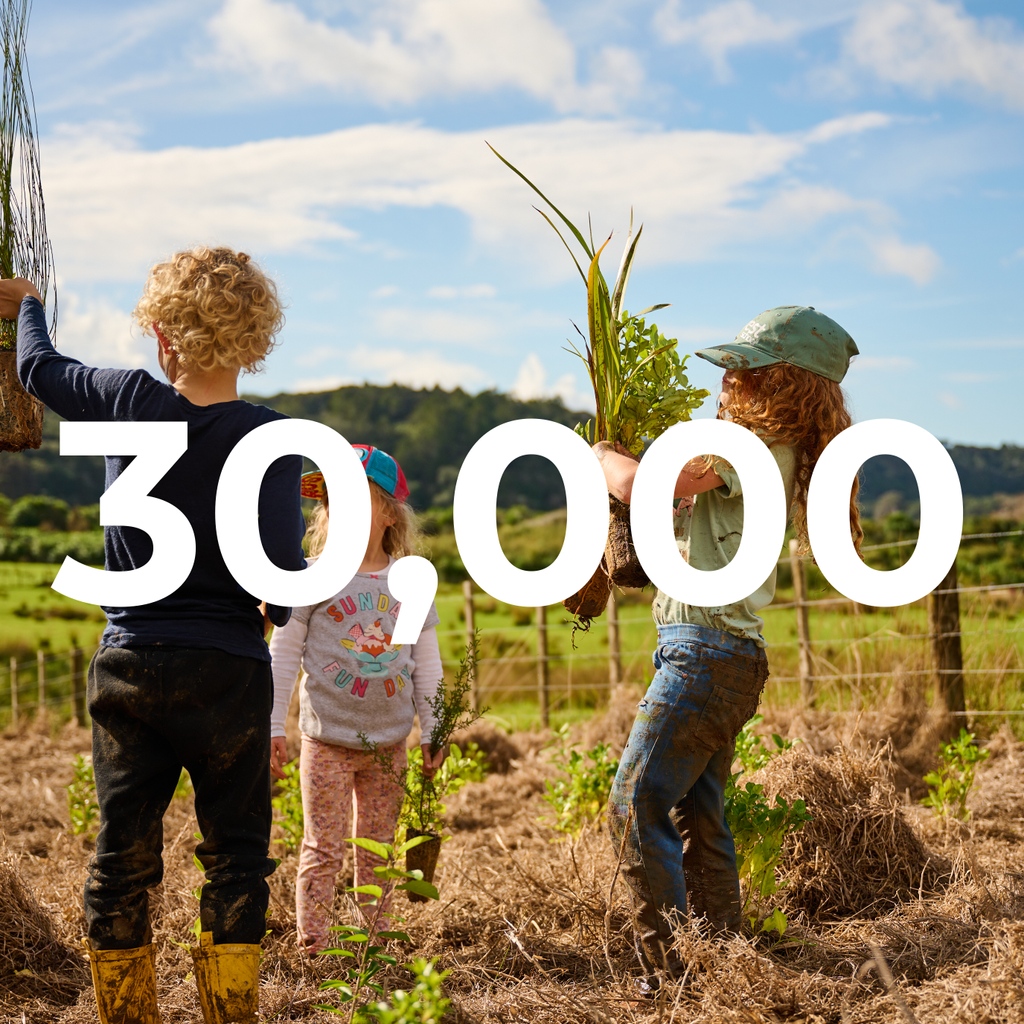 🌳 Trees That Count 🌳 tweet media