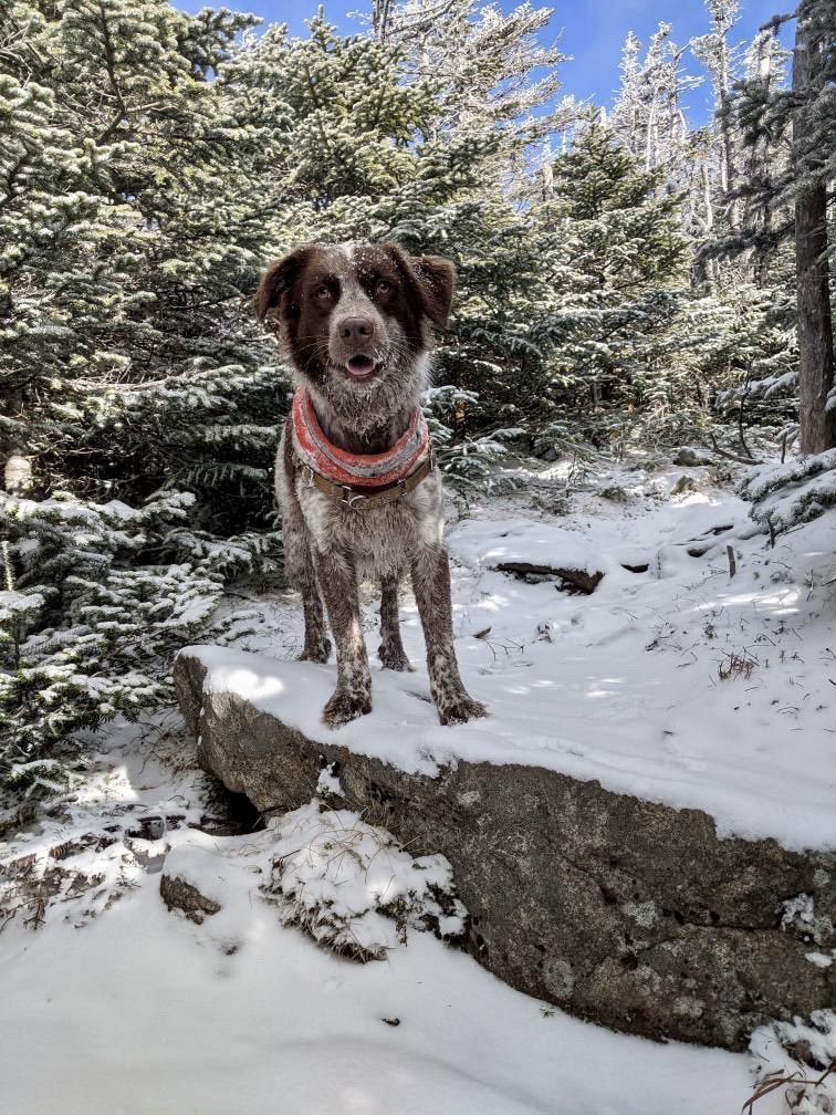 Stephanie Hill tweet media