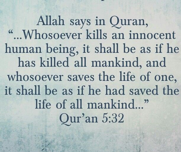 BeingMirror's tweet photo. @ashoswai Everyone accountable on The Day of Judgement with God - One Creator of Universe. 

God Says in Quran,
Life is Test for every individual. Everyone Has to go from this world and won't come back again. 
Rewards and Punishment on The Day of Resurrection. https://t.co/duy0Henp7t