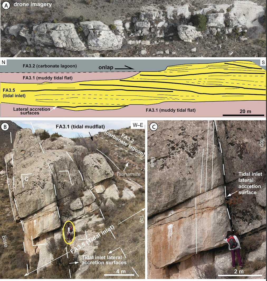 JSedimentology's tweet photo. Using field and drone data in 'Sedimentology and stratigraphic architecture of Barremian synrift barrier island–estuarine depositional systems from blended field and drone-derived data'

Find at: https://t.co/yH2gYWbgMP https://t.co/ETW9hFtJXS