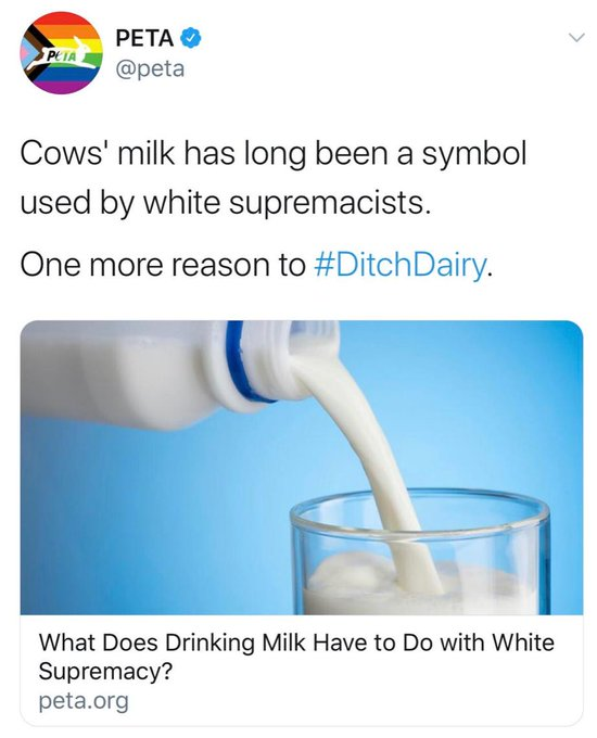 ConnorRothbard's tweet photo. @rainnwilson Have you tried getting mad at people who drink milk? https://t.co/nlAxRN8oYW