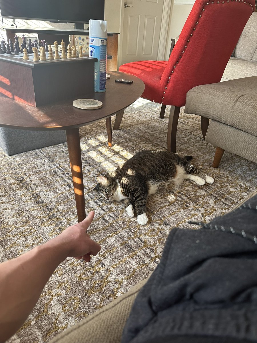 villainillin's tweet photo. Making a point. https://t.co/4Qn3BL06sI